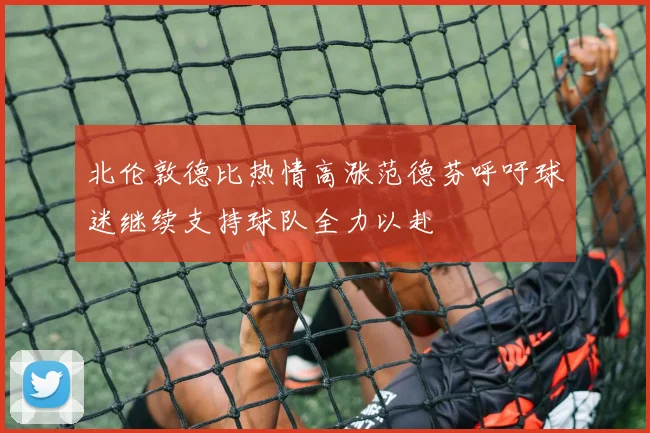 北伦敦德比热情高涨范德芬呼吁球迷继续支持球队全力以赴