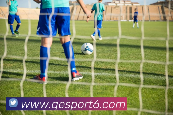 企鹅体育平台生态图