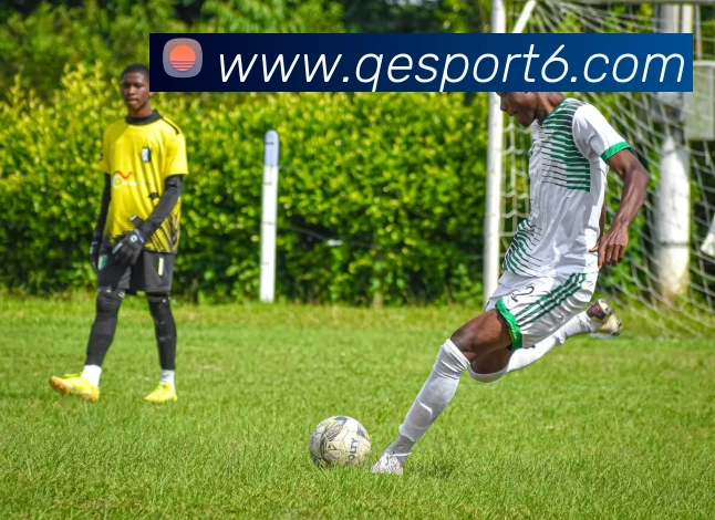 企鹅体育全站App